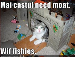 funny-pictures-cat-wants-moat